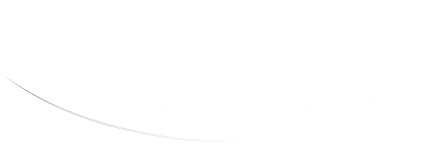 Mercosur Global - Intranet
